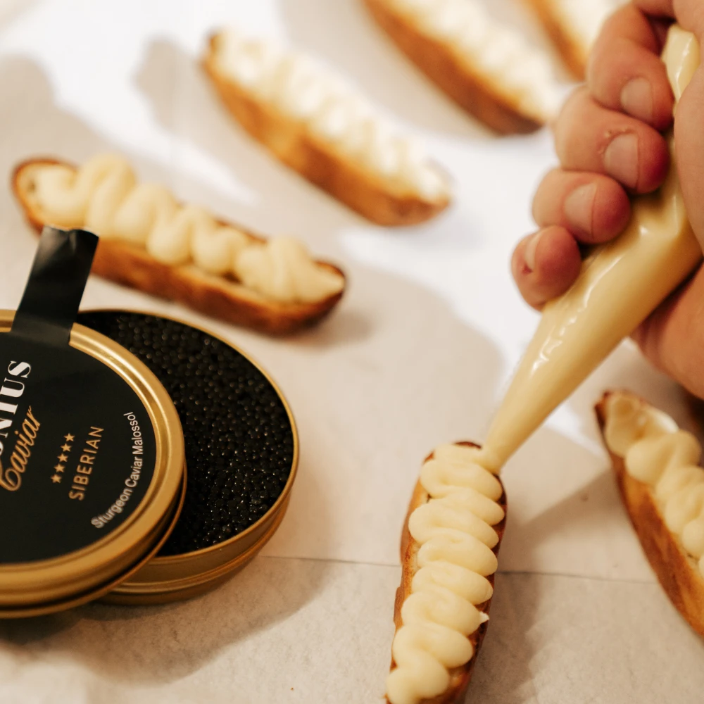 Wielka Orkiestra Świątecznej Pomocy i Fino 2024