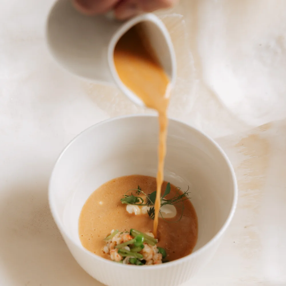 Wielka Orkiestra Świątecznej Pomocy i Fino 2024